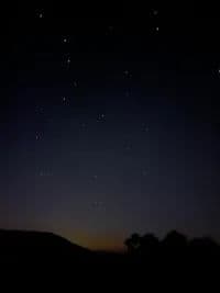 image of El Llibre de les bèsties