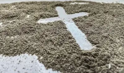 image of De la cendra a la vida nova